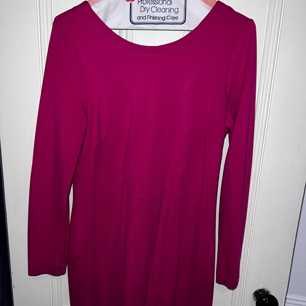 Pink Banana Republic Long Sleeve Dress